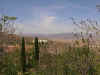 Dsc00014.jpg (67472 bytes)